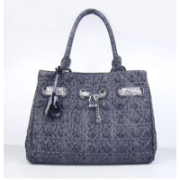 크리스찬 디올 1885-그레이