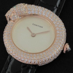 컬렉션 파리 리미티드