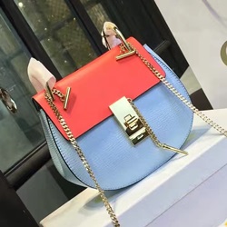  끌로에 드류백 스몰