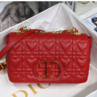 크리스찬디올 크로스백 20cm M8016