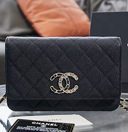 샤넬 체인 WOC플랩 백 19cm AP1794