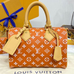 루이비통 Speedy P9 반둘리에 25 M24425