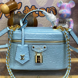 루이비통 베니티 체인 파우치 N85806