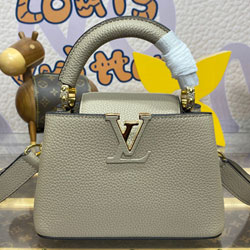 루이비통 카퓌신 미니 M24729